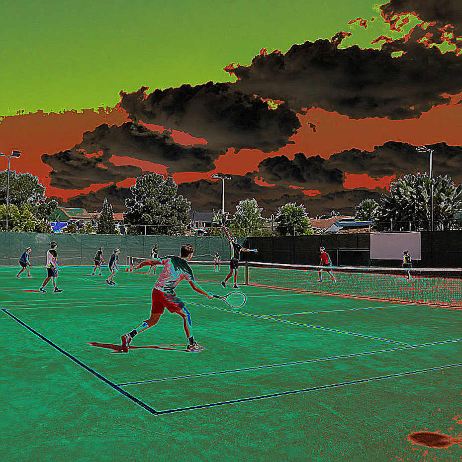 The Faulty Serve of a Data Label: A Pakistan Customs Document Disguised as Tennis The Faulty Serve of a Data Label: A Pakistan Customs Document Disguised as Tennis